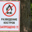 Куда звонить, если в лесу пожар? - Сетевое издание Киришский факел