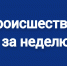Происшествия за неделю с 22 по 29 сентября - Сетевое издание Киришский факел