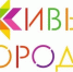 Общероссийский проект «Городская среда будущего. Практики созидания» стартует 9 ноября - Киришский район