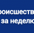 Происшествия за неделю  с 14 по 20 апреля - Сетевое издание Киришский факел