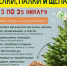 Завтра стартует акция «Ёлки, палки и щепа!» - Сетевое издание Киришский факел