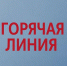 В Ленинградской области пройдет «горячая линия» по вопросам стихийных свалок - Сетевое издание Киришский факел