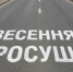 В Ленинградской области начинается сезонная «просушка» региональных дорог - Сетевое издание Киришский факел