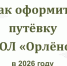 Яркий отдых и укрепление здоровья в лагере «Орлёнок» - Сетевое издание Киришский факел