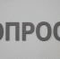 Госдума изучает мнение граждан о втором иностранном языке в школах - Сетевое издание Киришский факел