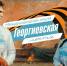Кириши присоединяются к всероссийской акции «Георгиевская лента» - Сетевое издание Киришский факел